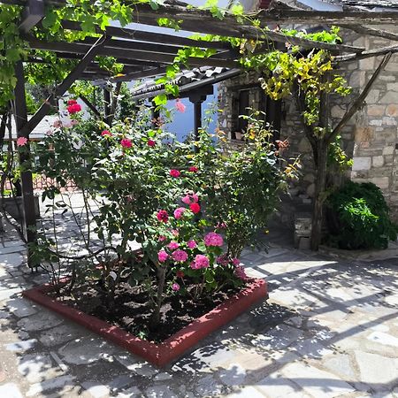 Venus Guesthouse Portaria  Ngoại thất bức ảnh